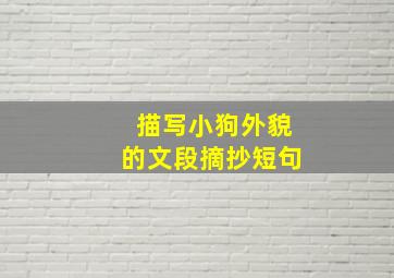 描写小狗外貌的文段摘抄短句