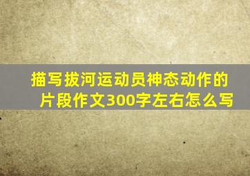 描写拔河运动员神态动作的片段作文300字左右怎么写