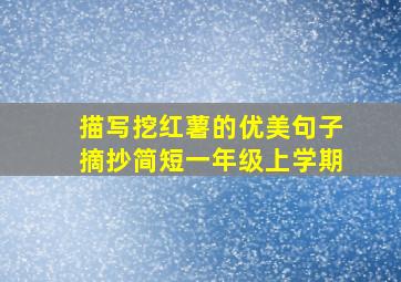 描写挖红薯的优美句子摘抄简短一年级上学期