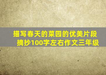 描写春天的菜园的优美片段摘抄100字左右作文三年级