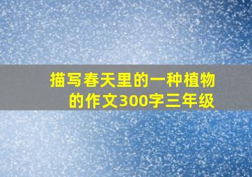 描写春天里的一种植物的作文300字三年级