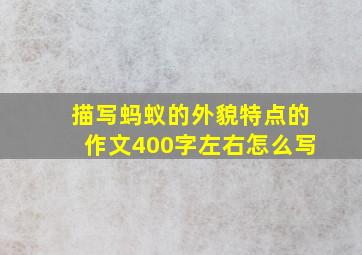 描写蚂蚁的外貌特点的作文400字左右怎么写