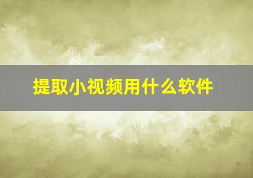 提取小视频用什么软件