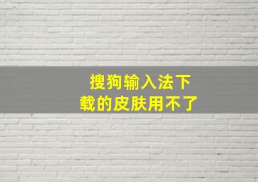 搜狗输入法下载的皮肤用不了