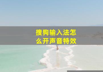 搜狗输入法怎么开声音特效