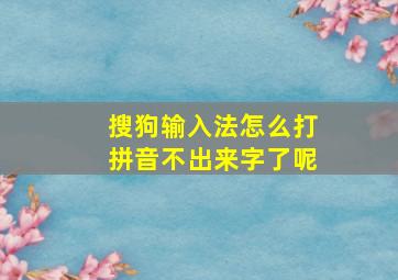 搜狗输入法怎么打拼音不出来字了呢