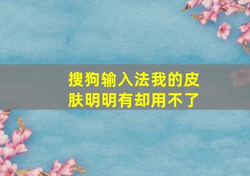 搜狗输入法我的皮肤明明有却用不了