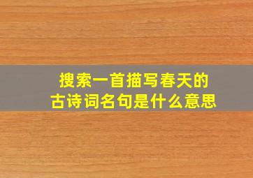 搜索一首描写春天的古诗词名句是什么意思