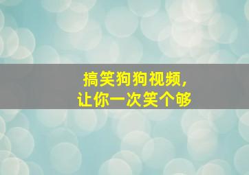 搞笑狗狗视频,让你一次笑个够