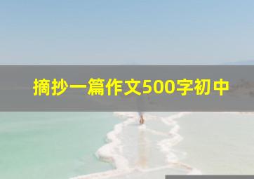 摘抄一篇作文500字初中