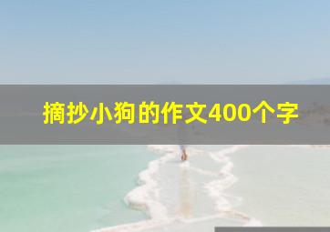 摘抄小狗的作文400个字