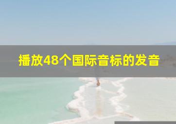 播放48个国际音标的发音