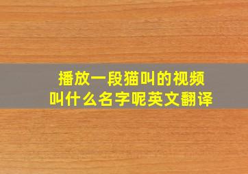 播放一段猫叫的视频叫什么名字呢英文翻译