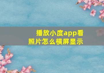 播放小度app看照片怎么横屏显示