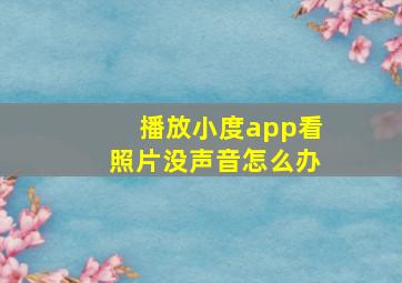 播放小度app看照片没声音怎么办