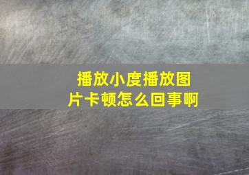 播放小度播放图片卡顿怎么回事啊