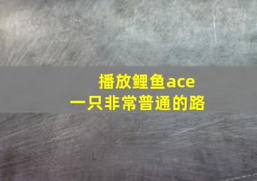 播放鲤鱼ace一只非常普通的路