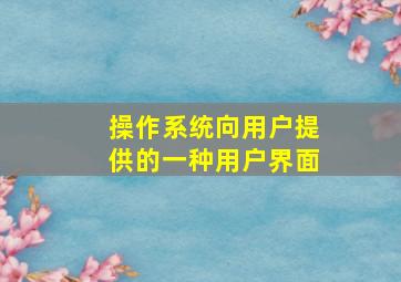 操作系统向用户提供的一种用户界面