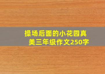 操场后面的小花园真美三年级作文250字