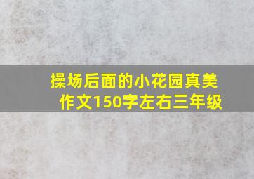 操场后面的小花园真美作文150字左右三年级