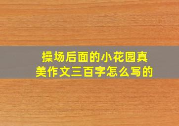 操场后面的小花园真美作文三百字怎么写的