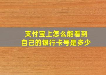 支付宝上怎么能看到自己的银行卡号是多少