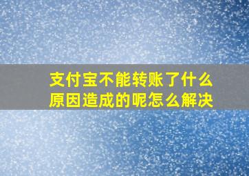 支付宝不能转账了什么原因造成的呢怎么解决