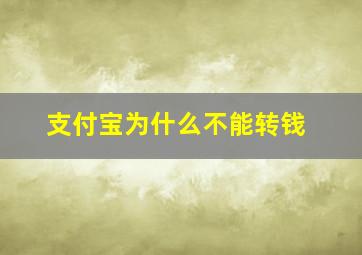 支付宝为什么不能转钱