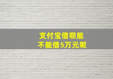 支付宝借呗能不能借5万元呢