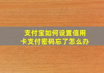 支付宝如何设置信用卡支付密码忘了怎么办