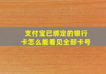 支付宝已绑定的银行卡怎么能看见全部卡号