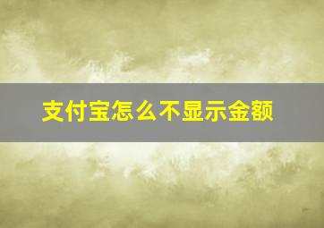 支付宝怎么不显示金额