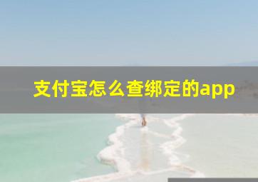 支付宝怎么查绑定的app