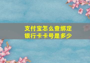 支付宝怎么查绑定银行卡卡号是多少