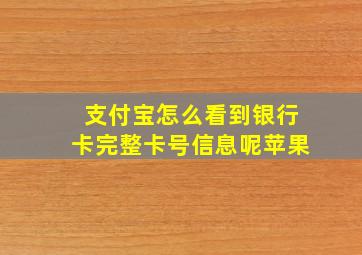 支付宝怎么看到银行卡完整卡号信息呢苹果