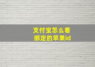 支付宝怎么看绑定的苹果id