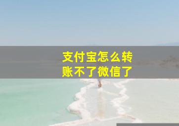 支付宝怎么转账不了微信了