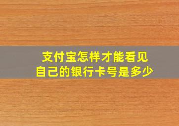 支付宝怎样才能看见自己的银行卡号是多少