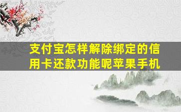 支付宝怎样解除绑定的信用卡还款功能呢苹果手机