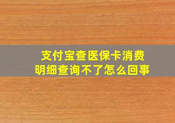 支付宝查医保卡消费明细查询不了怎么回事