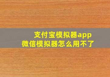 支付宝模拟器app微信模拟器怎么用不了