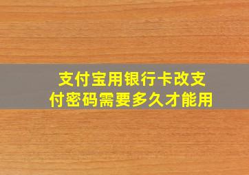 支付宝用银行卡改支付密码需要多久才能用