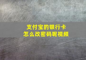 支付宝的银行卡怎么改密码呢视频