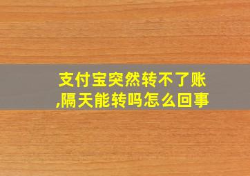 支付宝突然转不了账,隔天能转吗怎么回事