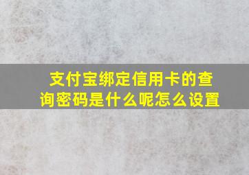 支付宝绑定信用卡的查询密码是什么呢怎么设置