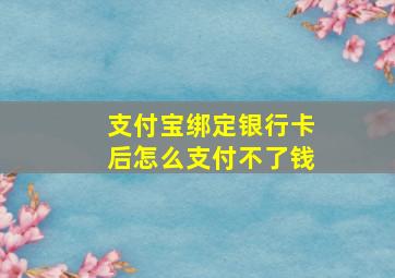 支付宝绑定银行卡后怎么支付不了钱