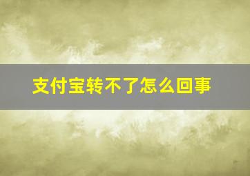 支付宝转不了怎么回事