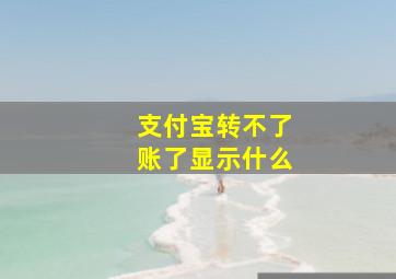 支付宝转不了账了显示什么