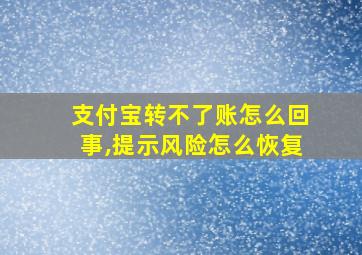 支付宝转不了账怎么回事,提示风险怎么恢复