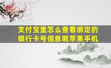 支付宝里怎么查看绑定的银行卡号信息呢苹果手机